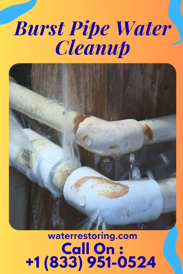 Burst Pipe Water Cleanup in Pierce, NE