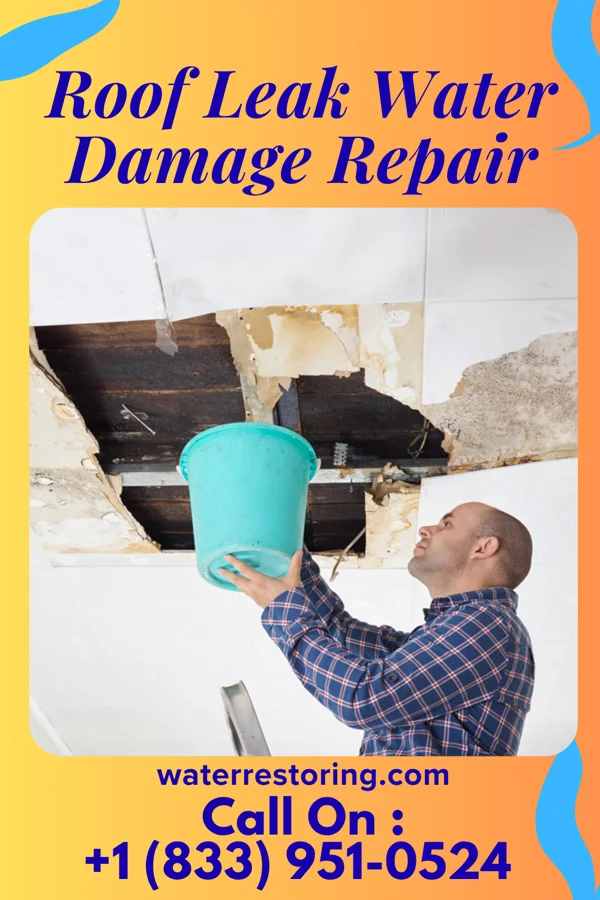 Roof Leak Water Damage Repair in Pierce, NE
