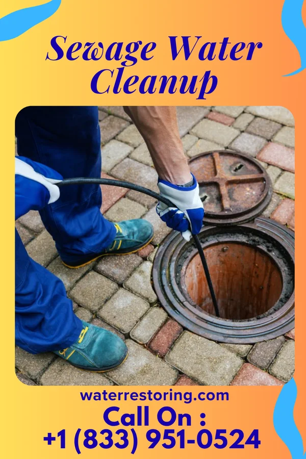 Sewage Water Cleanup in Pierce, NE